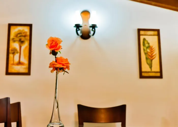 Suites Belvedere - Apto Individual